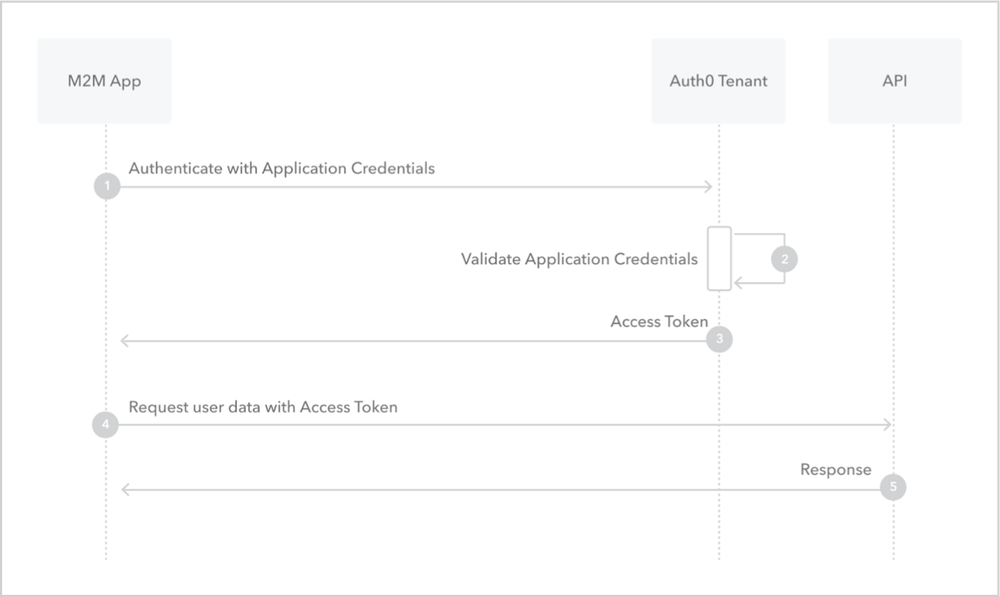 Authentication schema